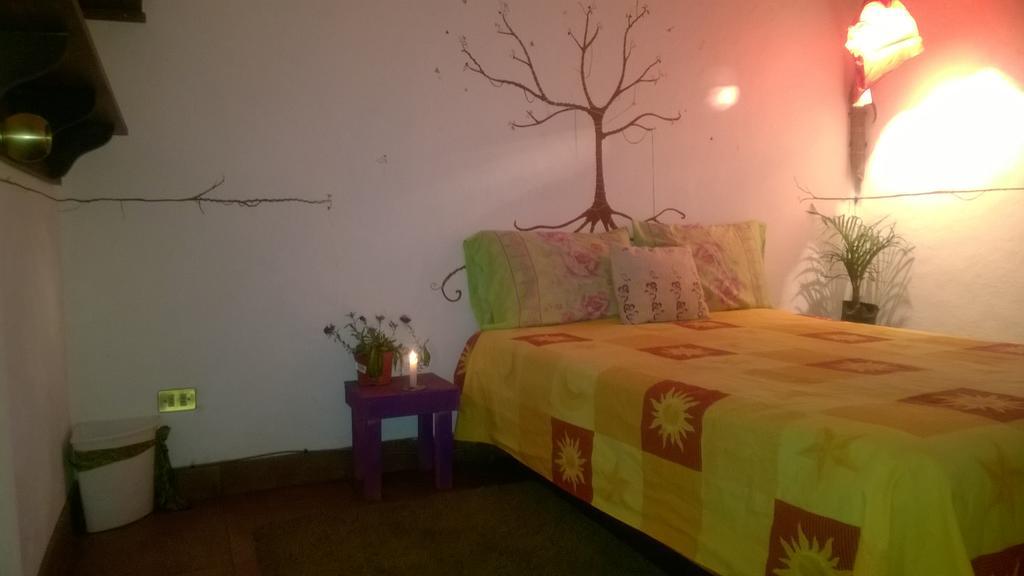 Natural Mystic Hostal 迪坡斯特兰 外观 照片