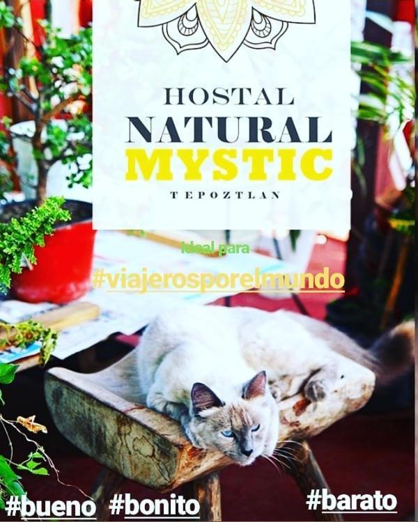 Natural Mystic Hostal 迪坡斯特兰 外观 照片