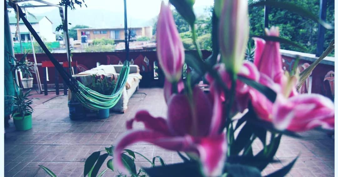 Natural Mystic Hostal 迪坡斯特兰 外观 照片