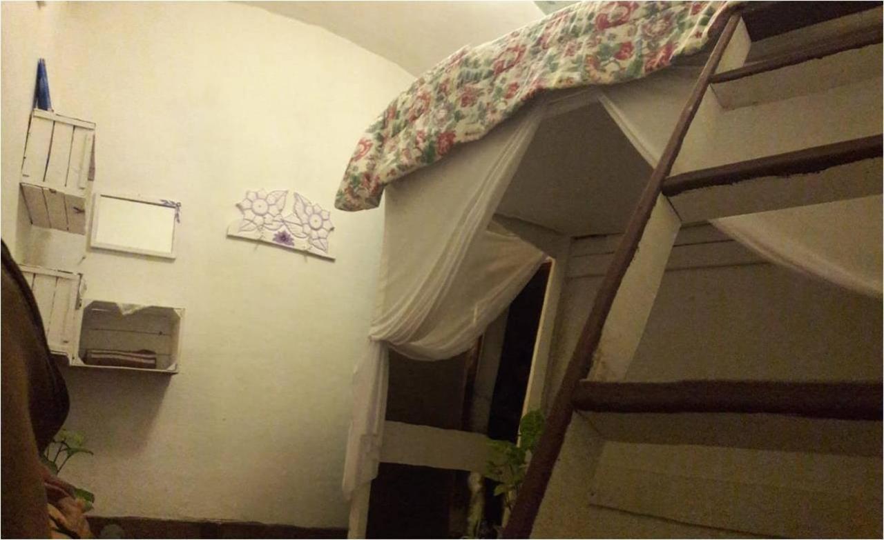 Natural Mystic Hostal 迪坡斯特兰 外观 照片