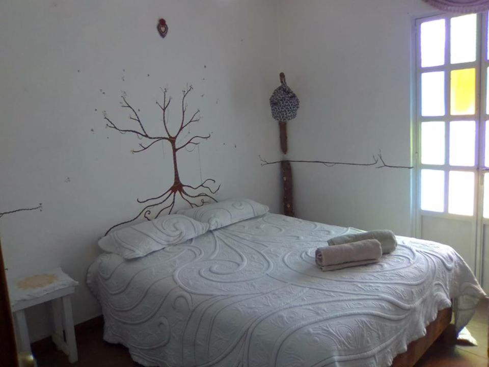 Natural Mystic Hostal 迪坡斯特兰 外观 照片